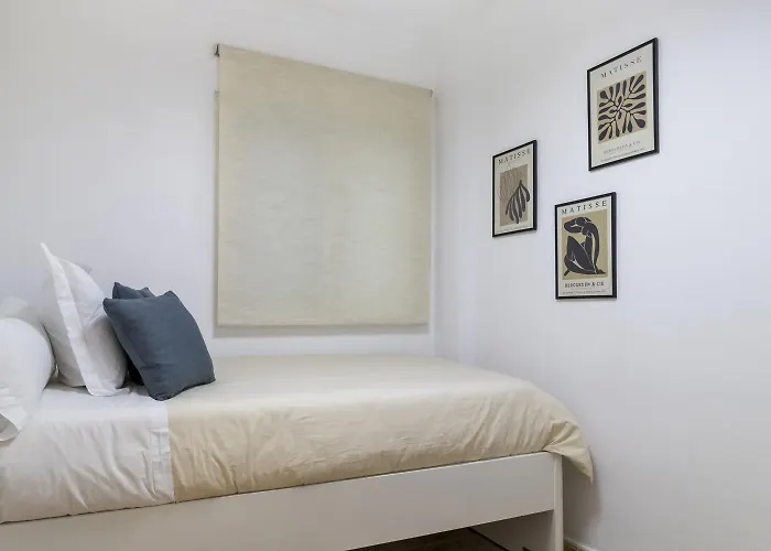 Pink Medsea 托雷维耶哈