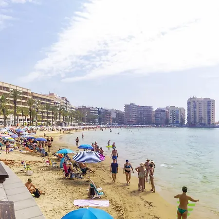 Pink Medsea - Winter By The Sea Torrevieja