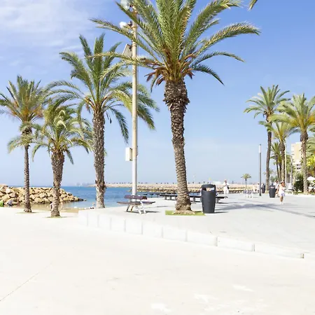 Pink Medsea - Winter By The Sea * Torrevieja